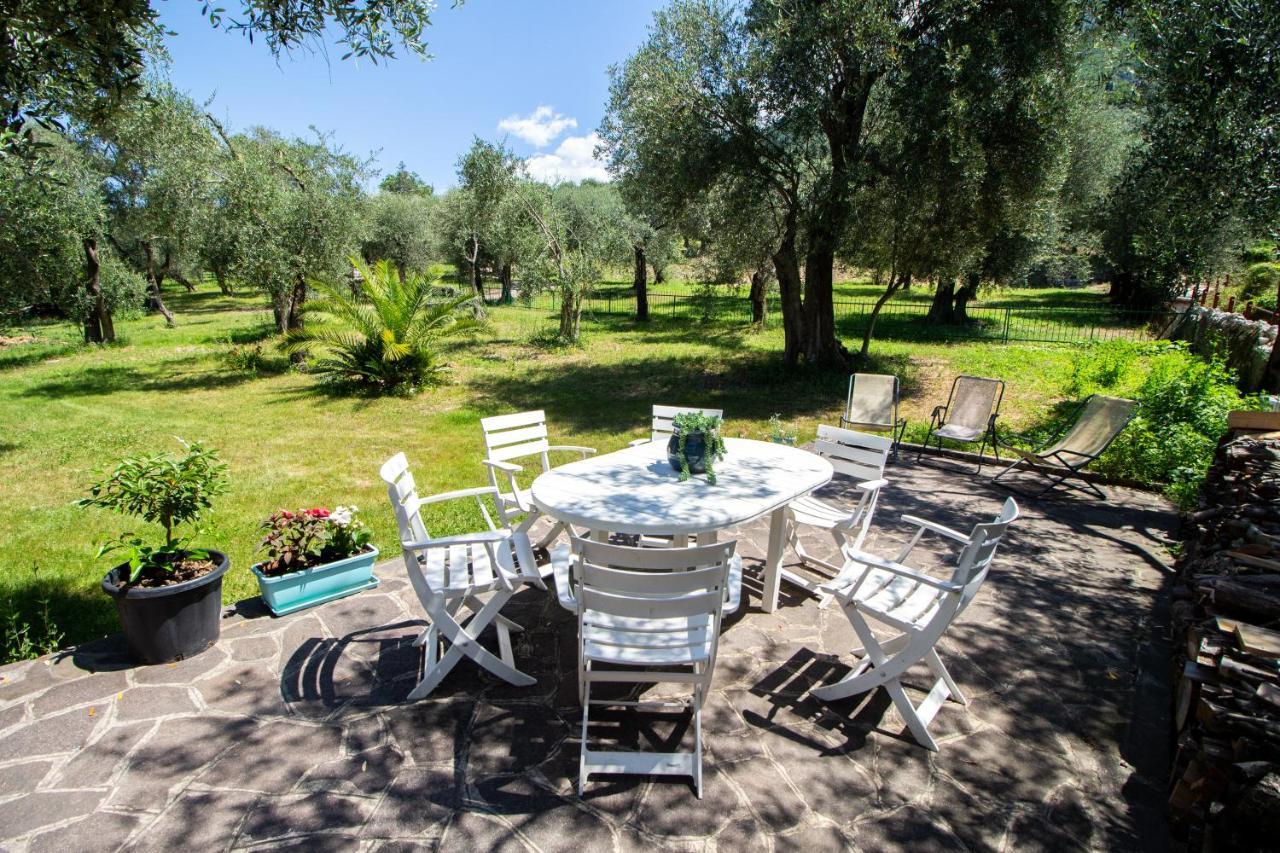 Villa Diana - Terrazza Sul Lago Assenza di Brenzone Eksteriør billede