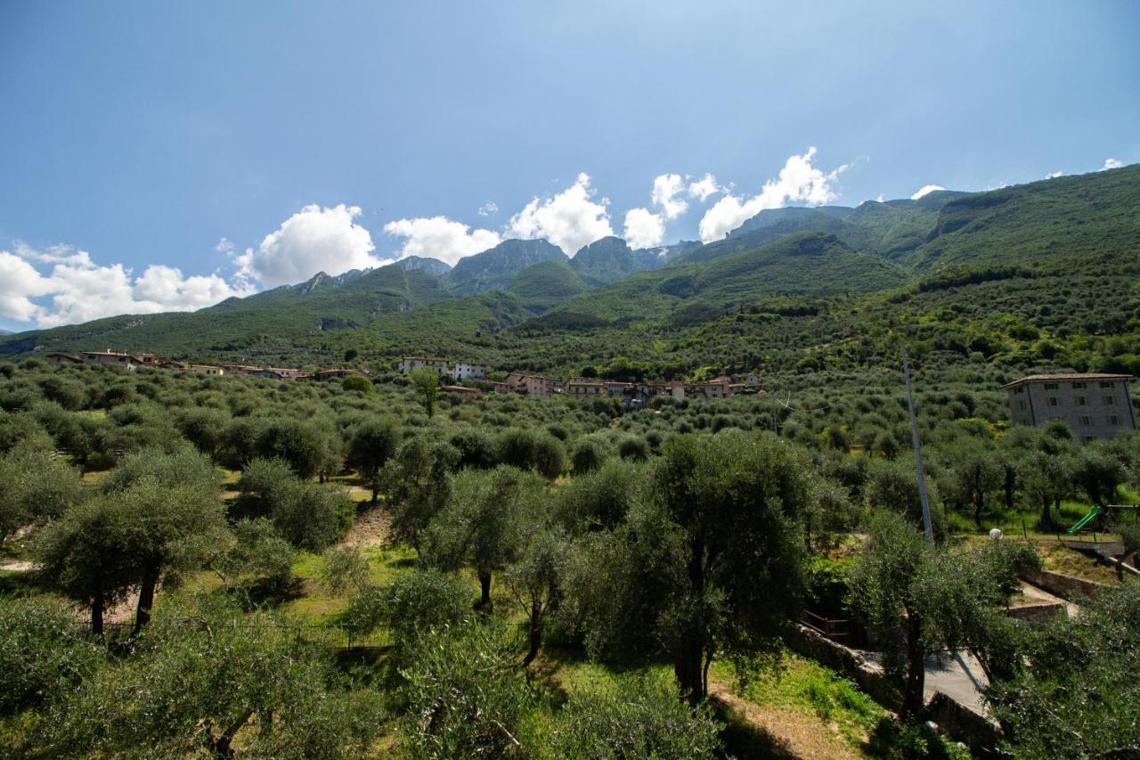 Villa Diana - Terrazza Sul Lago Assenza di Brenzone Eksteriør billede